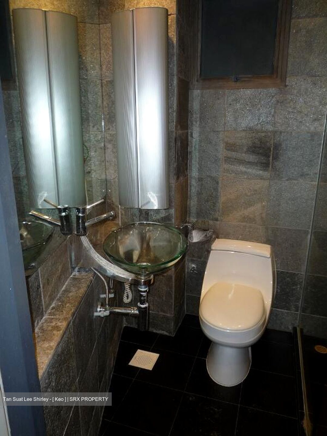 Nineteen Shelford Road (D11), Condominium #519004201